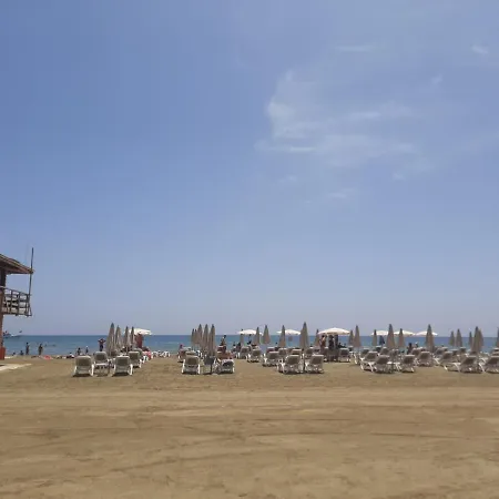 Happy Tucan * Larnaca