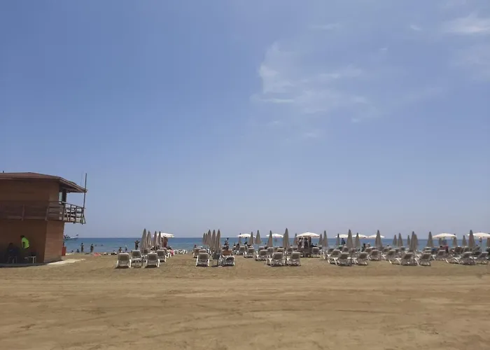 Happy Tucan * ラルナカ